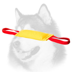 Training Bite     Tug for Siberian Husky of French Linen 