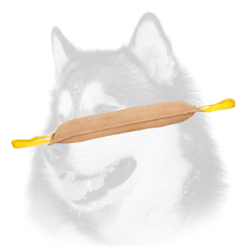 Quality Siberian Husky training tug made of leather with handles