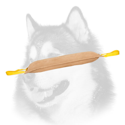 Professional tug for your Siberian Husky