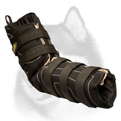 Safe Siberian     Husky professional sleeve for training