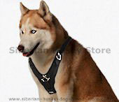 Siberian Husky harness,nylon dog harness,leather dog harness,tracking dog harness,pulling dog harness,tracking dog harnss