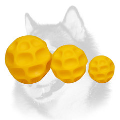 Full set of interactive tetraflex dog toys for Siberian Husky