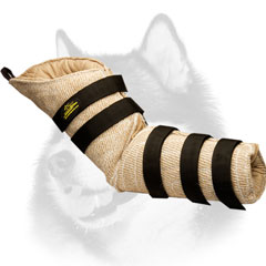Safe Siberian Husky professional     sleeve