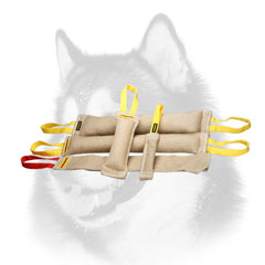 Siberian Husky training set of bite tugs