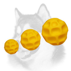 Possible sizes of tetraflex dog toys for Siberian Husky