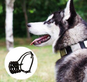 Purchasing the Right Dog Muzzle for your Dog